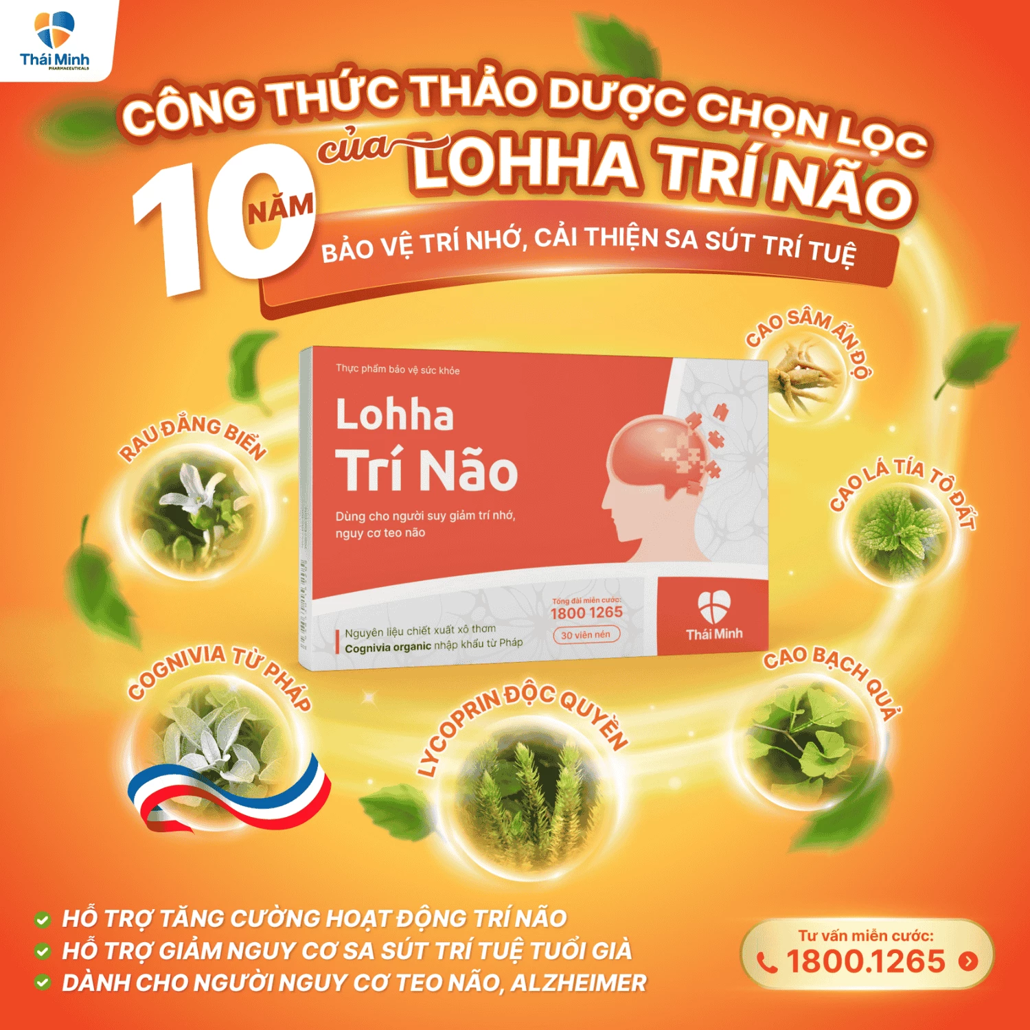 thanh-phan-lohha-tri-nao (2).webp